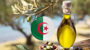 huile olive algérienne suisse