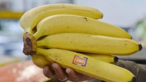 Prix bananes Algérie