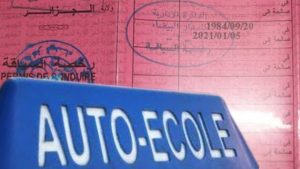 Algérie permis conduire