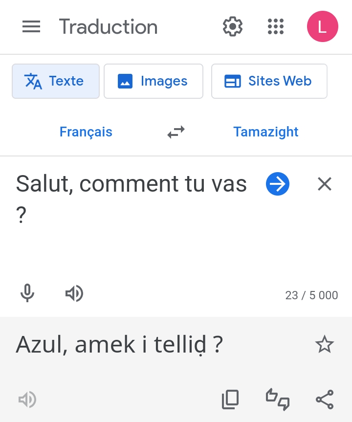 google-translate-tamazight.jpg