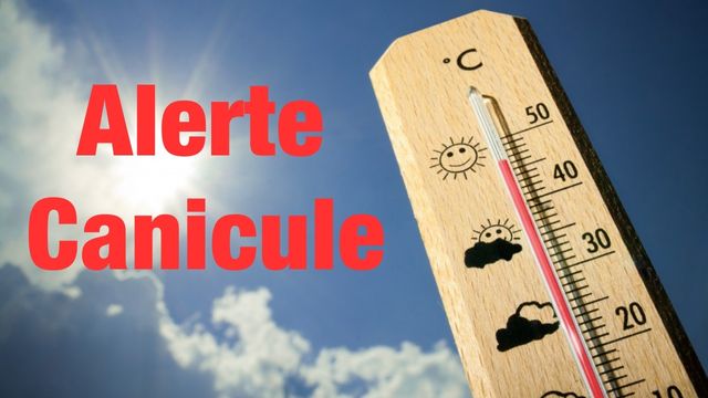 météo algérie températures demain