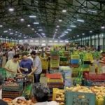Algérie prix produits agricoles