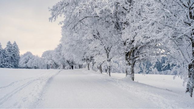 neige algérie