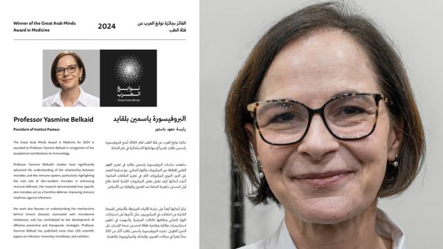 yasmine belkaid