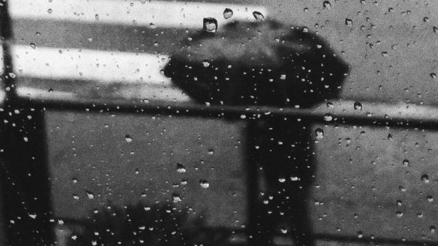 météo algérie février