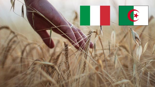 italien timimoun