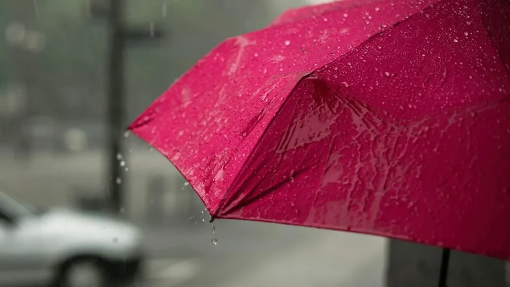 Algérie météo pluies alerte