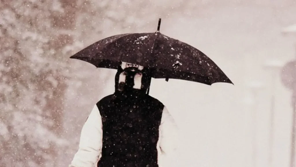 neige Algérie pluies