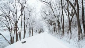 Météo neige Algérie