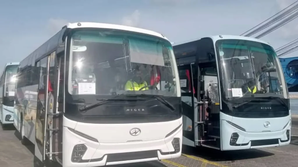 Bus Algérie