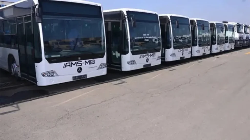 Algérie distribution bus