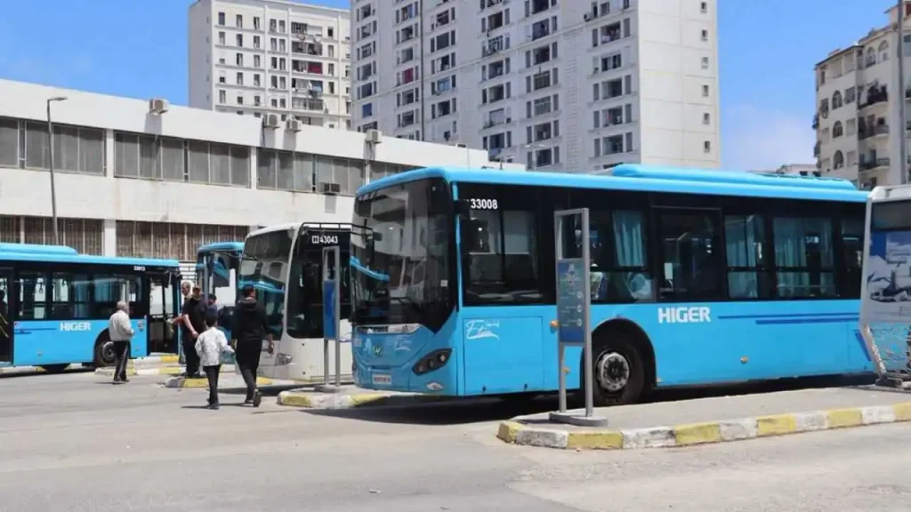 Grande mosquée Alger transport