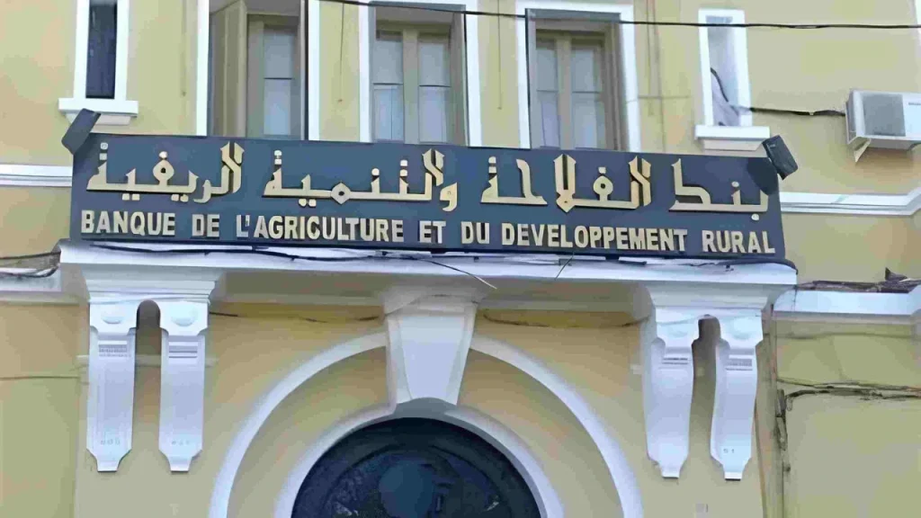 allocation touristique BADR