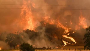 incendies Algérie wilayas touchées