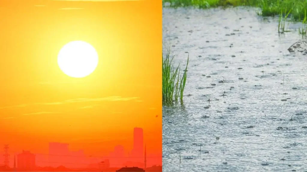 pluie canicule Algérie
