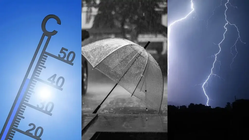 pluies orages canicule Algérie