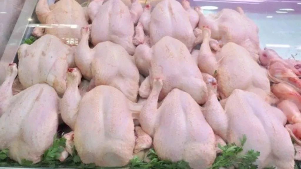 poulet congelé 350 dinars